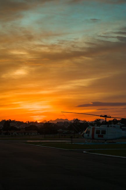 Downloadable Education Guides